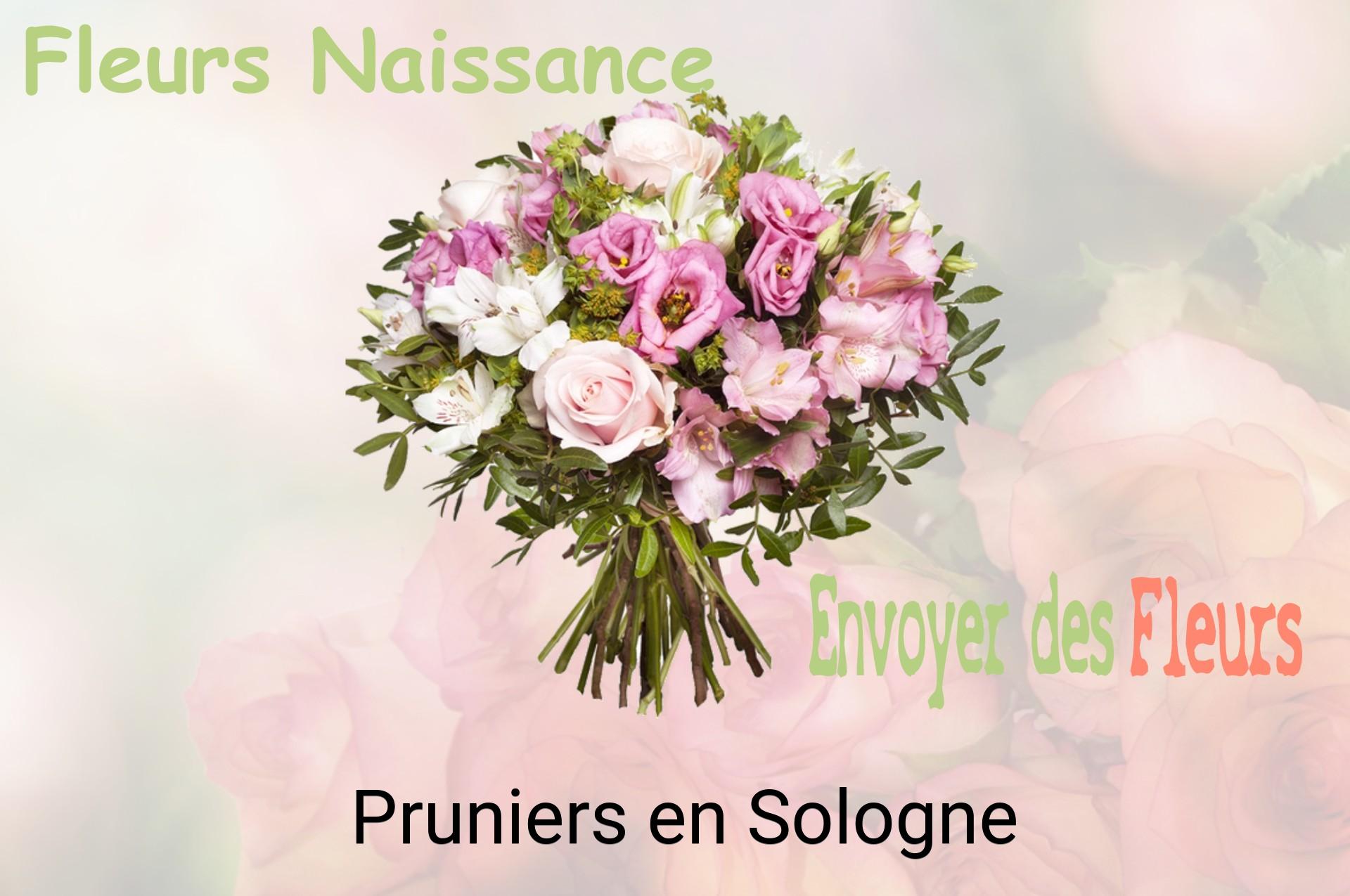 Bouquet de fleurs de naissance livré à Pruniers-en-Sologne