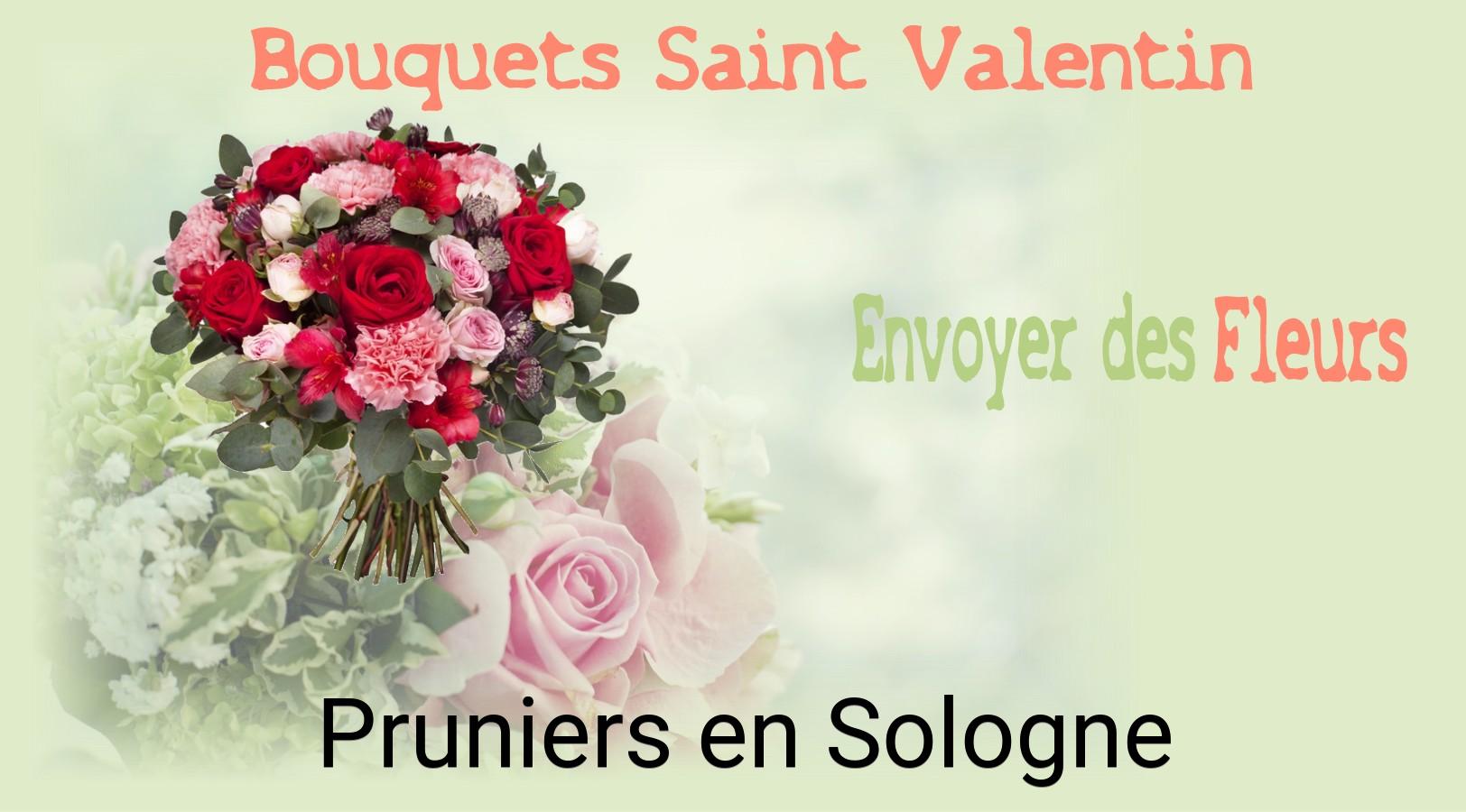 Roses de Saint-Valentin livrées à Pruniers-en-Sologne
