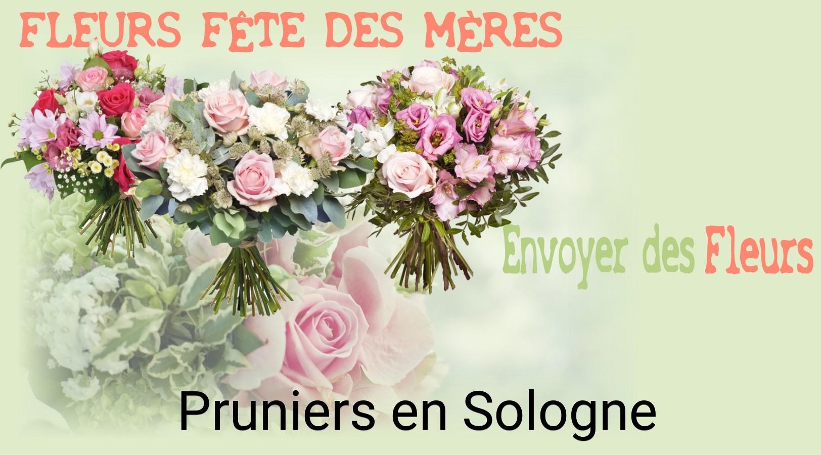 Bouquet de Fête des Mères livré à Pruniers-en-Sologne